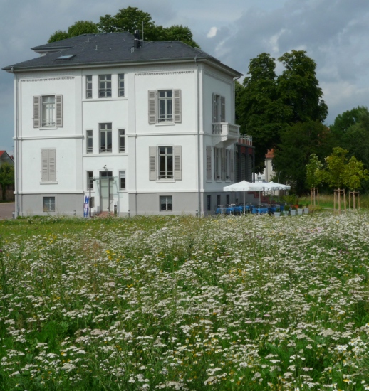 Büchnervilla mit Sommerwiese